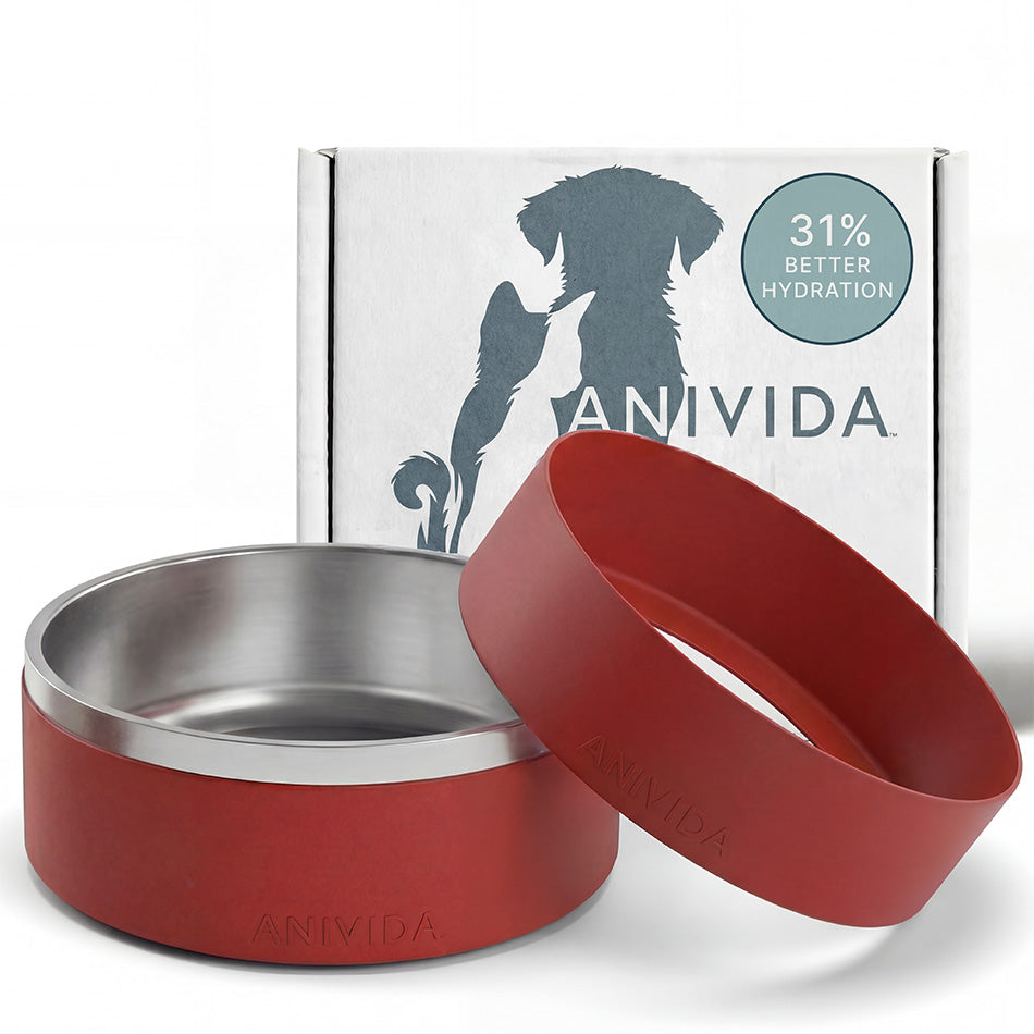 LARGE SCENTED BOWL
