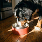 LARGE SCENTED BOWL