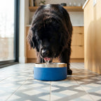 LARGE SCENTED BOWL