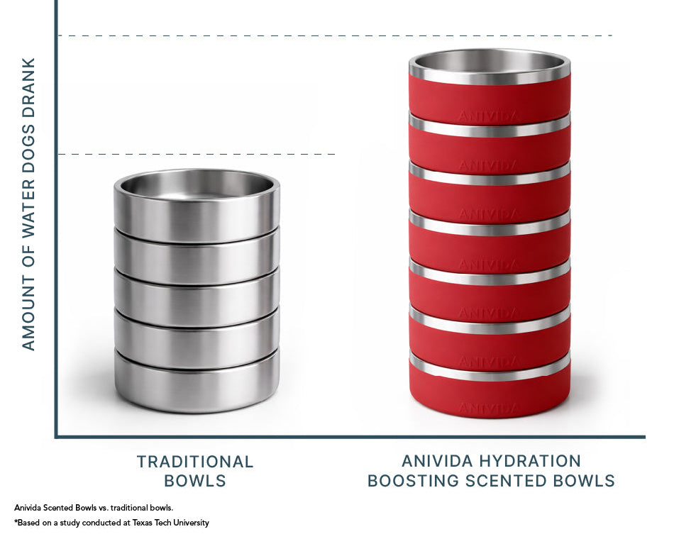 Comparison of traditional bowls and Anivida hydration boosting scented bowls with text about water consumption.
