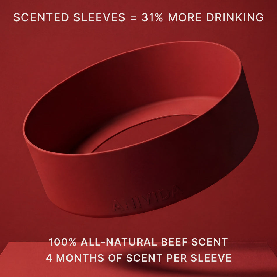 LARGE SCENTED BOWL