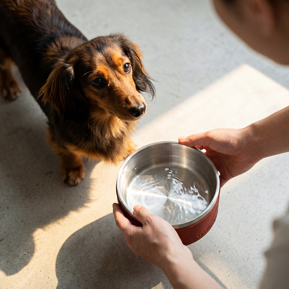 MEDIUM SCENTED BOWL